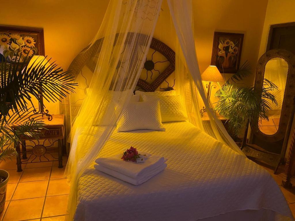 The Mexican Inn Cabo San Lucas Dış mekan fotoğraf