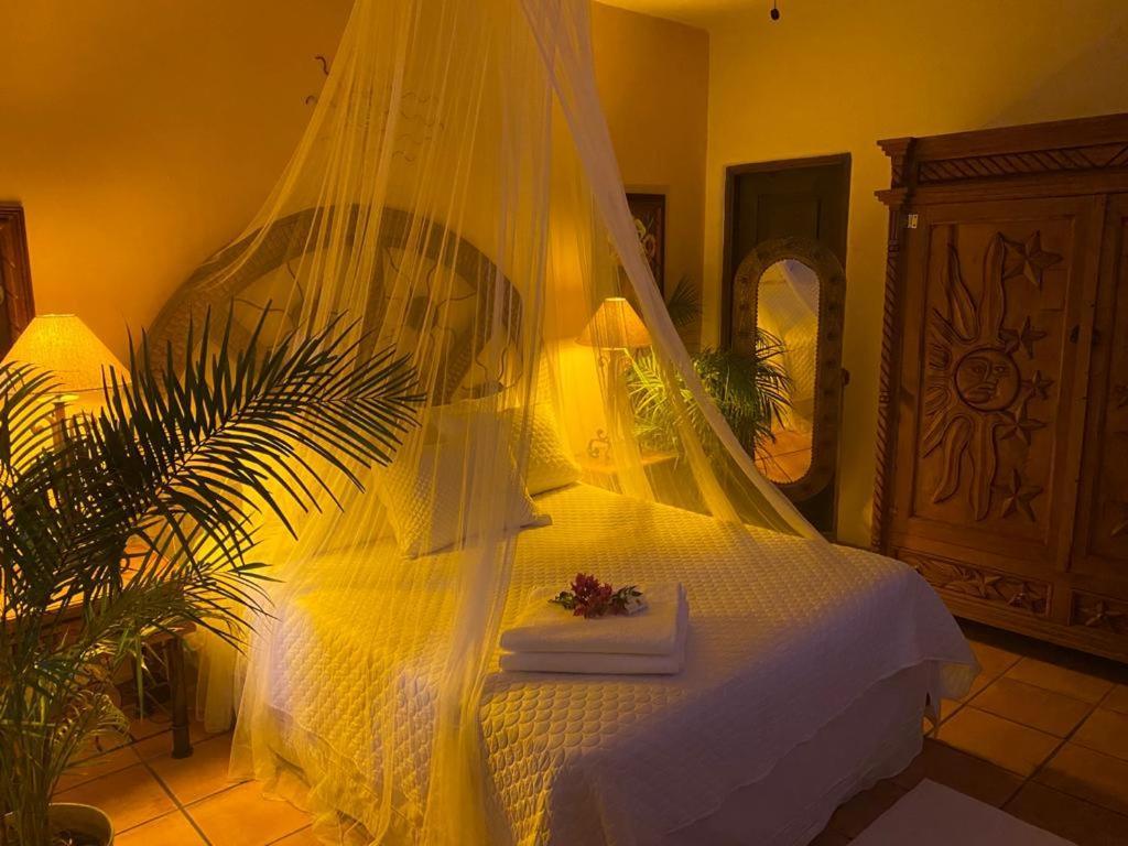 The Mexican Inn Cabo San Lucas Dış mekan fotoğraf